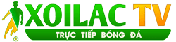 xe đạp đua giá rẻ