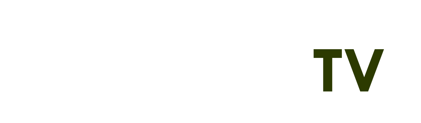 xe đạp đua giá rẻ